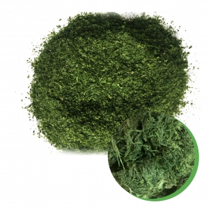 Dried seaweed high quality from vietnam