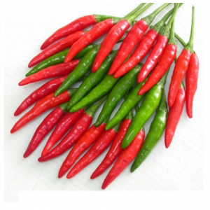 Vietnam fresh chili export