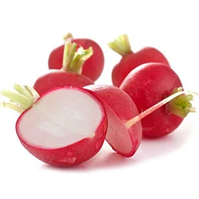 Red radish