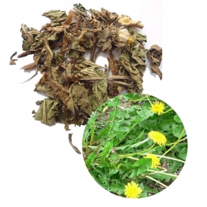 Dried lactuca indica high quality from vietnam