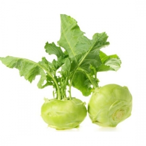 Kohlrabi from  viet nam with best price and high quality