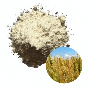 Wheat flour 