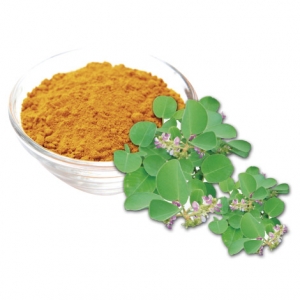 Desmodium styracifolium powder
