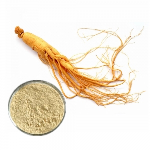 Ginseng flavor powder from korea
