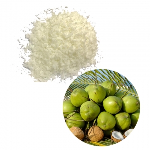 Desiccated coconut 
