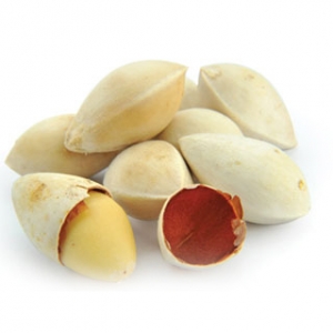 Fresh ginkgo biloba from vietnam